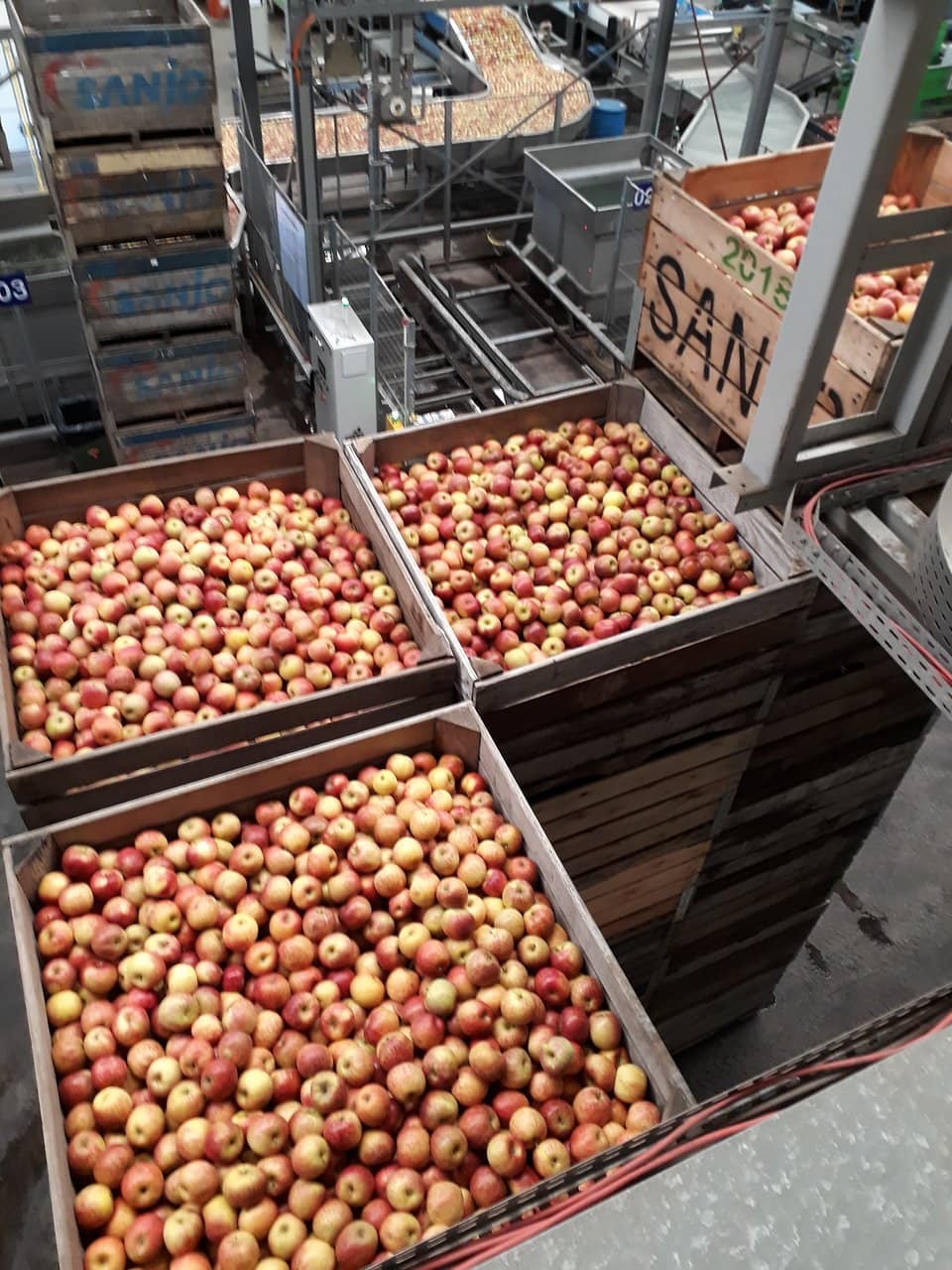 Agricultural Insights