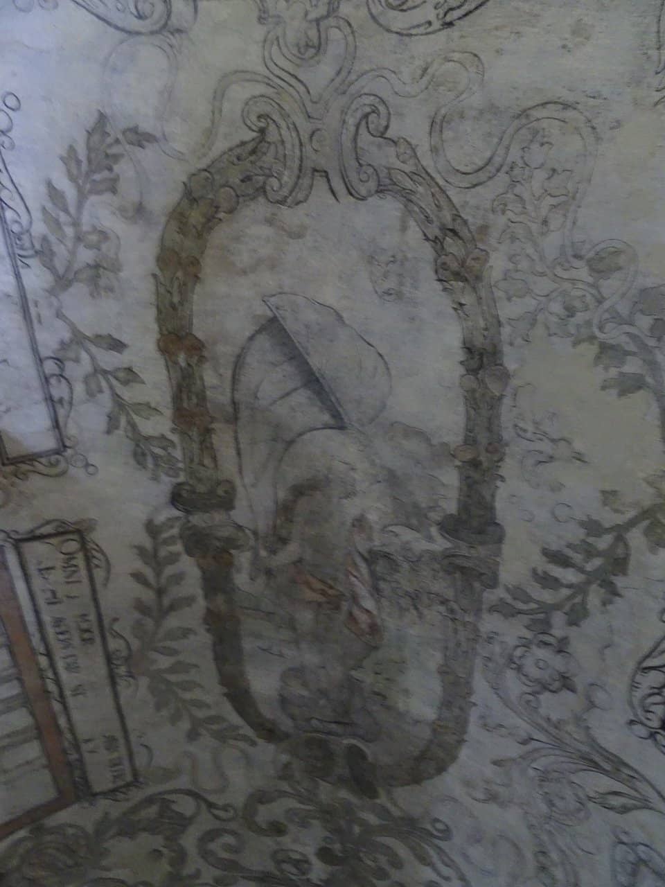 Humorous & Informative Guide