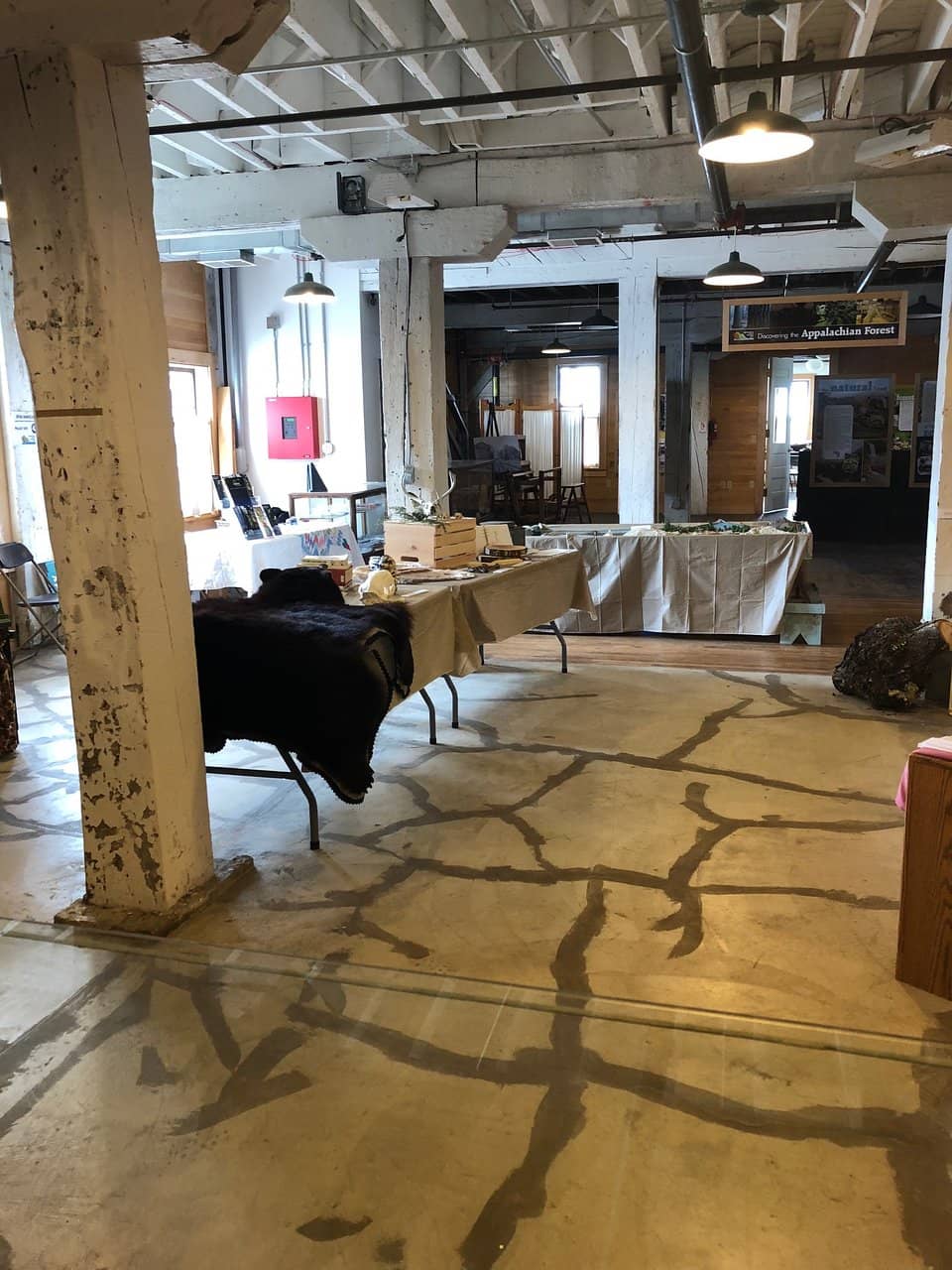 Indigenous Voices Exhibition