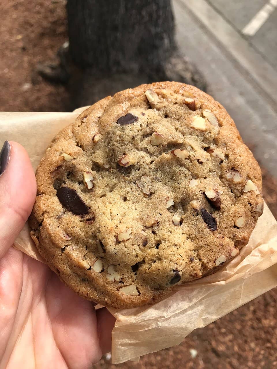 Indulgent Pastries & Breads