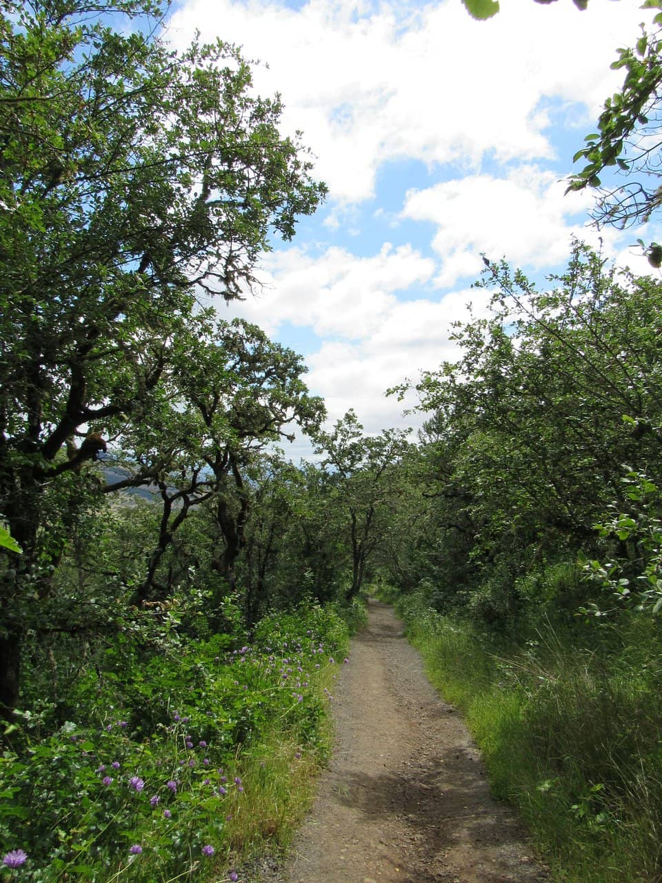 Unique Rock Formations