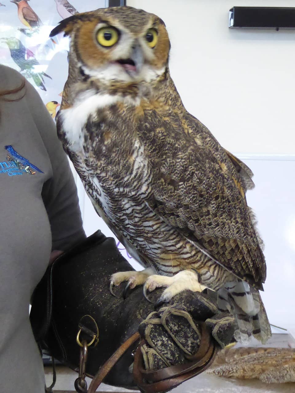 Nature Trails & Gardens