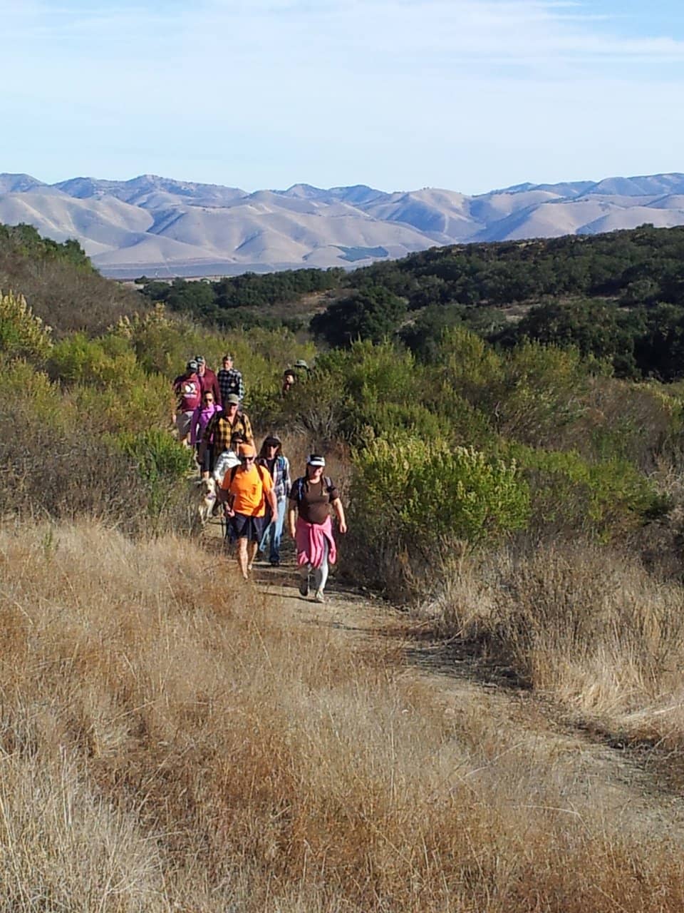 Mountain Biking Trails
