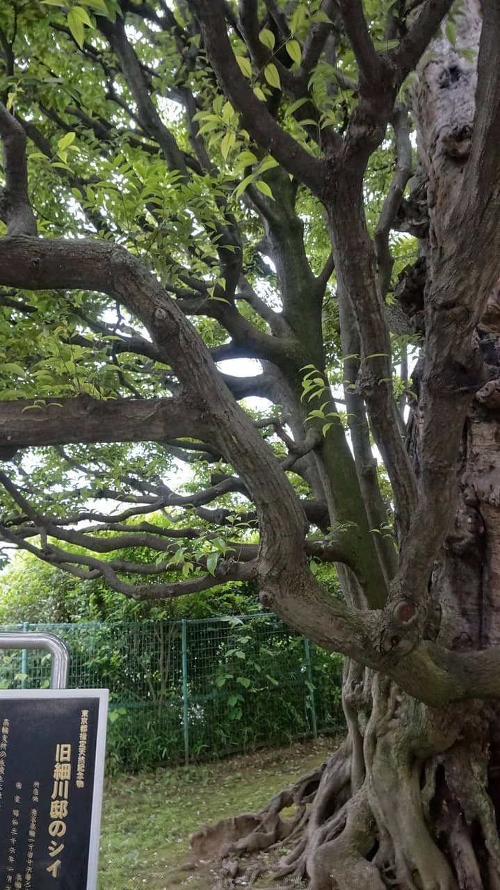 Historical Architecture