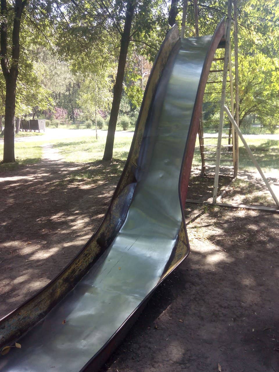 Unique Animal Encounters