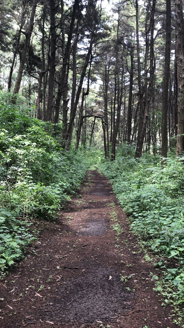 Lake Amatitlán Views