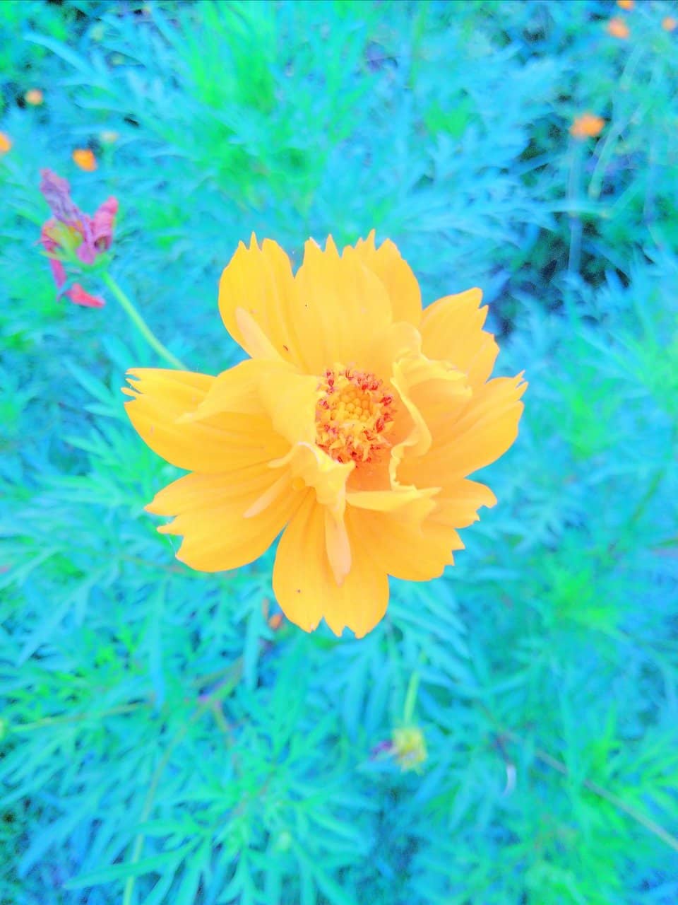 Botanical Shop Delights