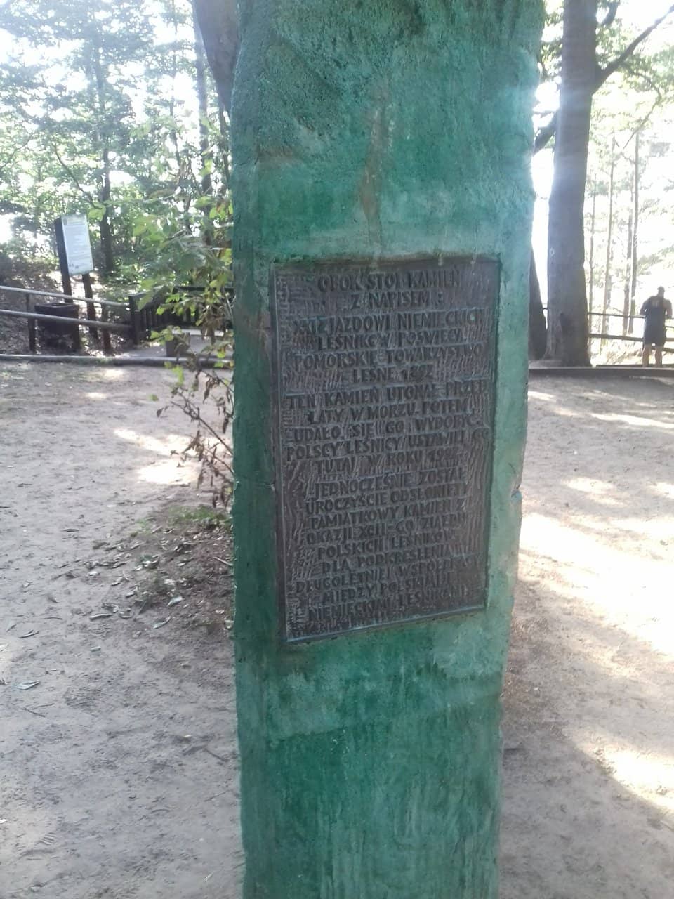 Scenic Wooden Staircase