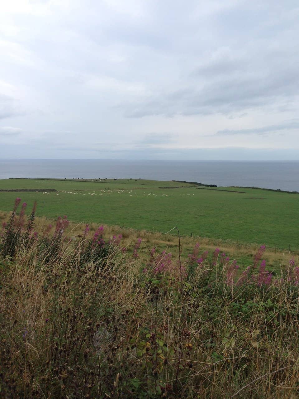 Coastal Vistas