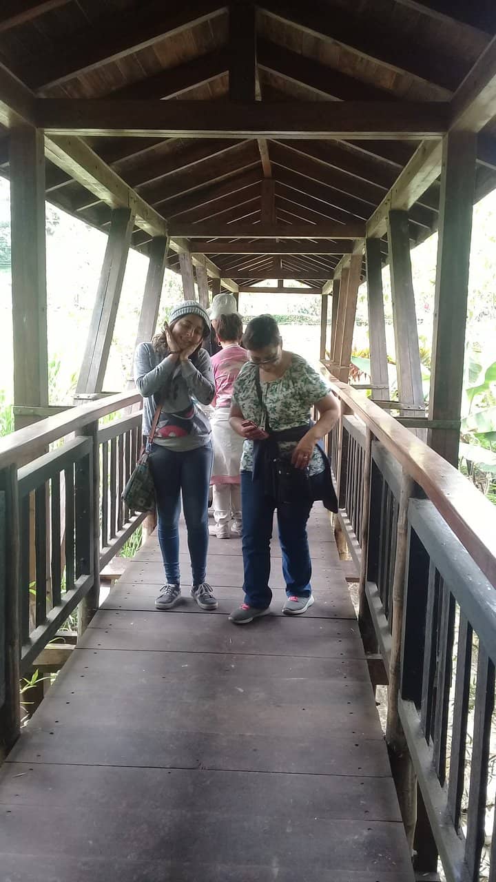 Knowledgeable Museum Guides