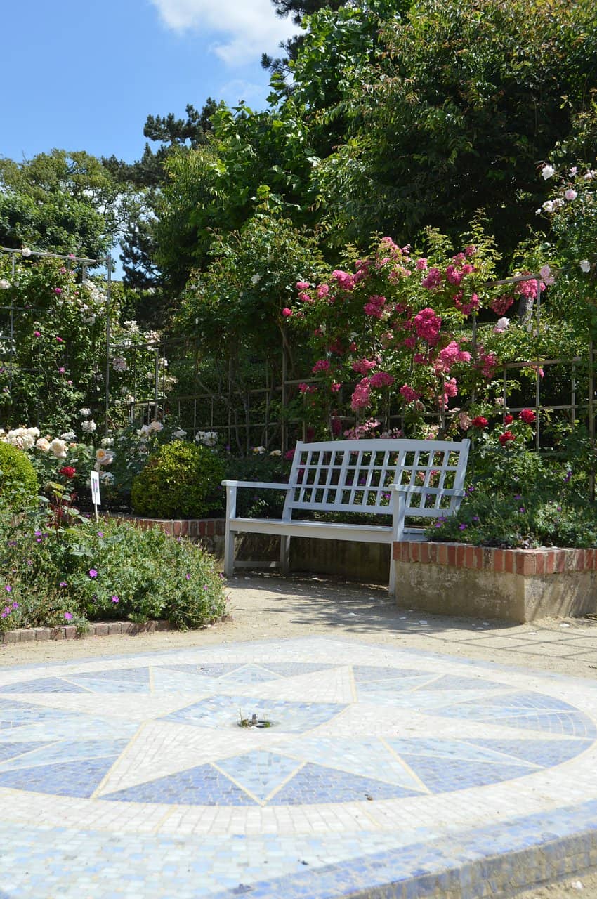 Dior Couture Exhibitions