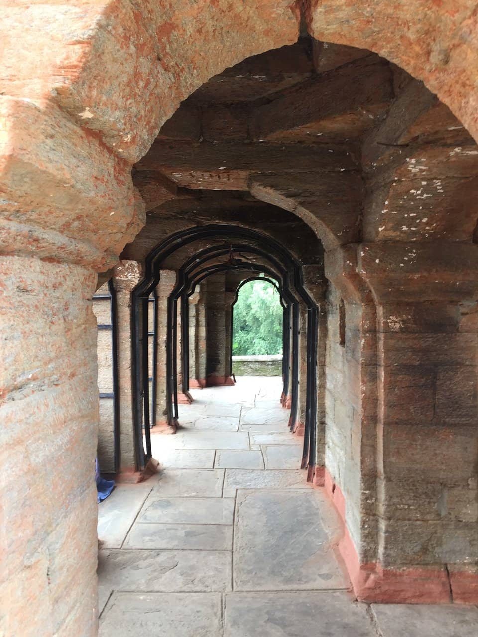 Serene Forest Setting