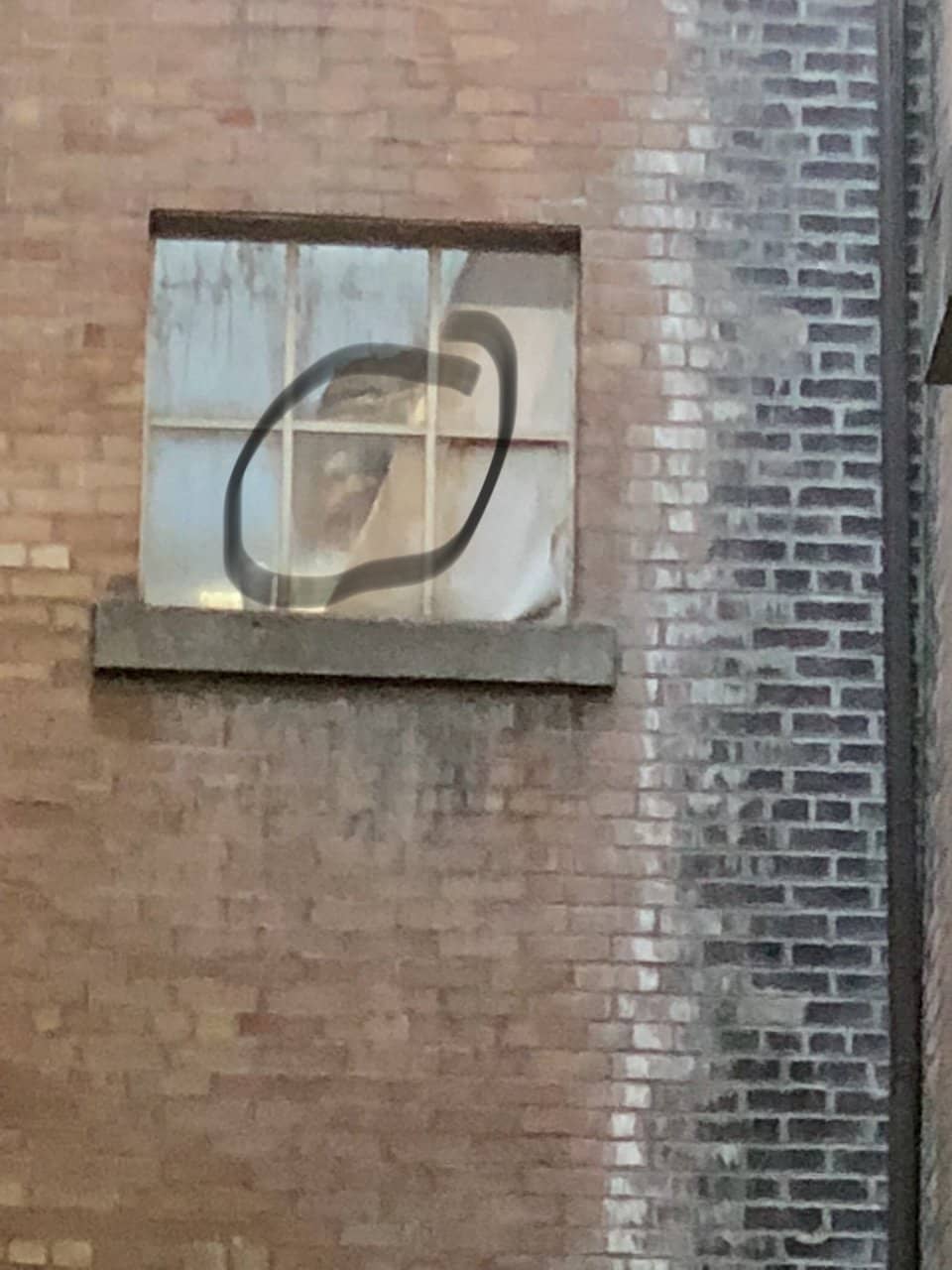 Canyon Rim Regional Park Trails