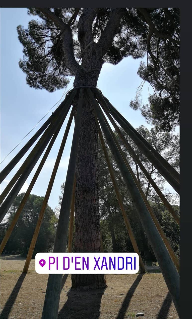 Tranquil Nature Escape