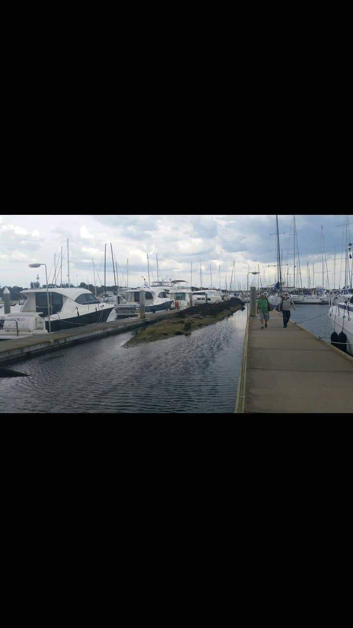 Bayside Wedding Venue