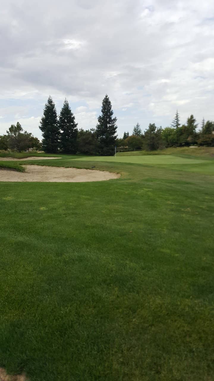 Lush Rolling Hills & Oak Groves
