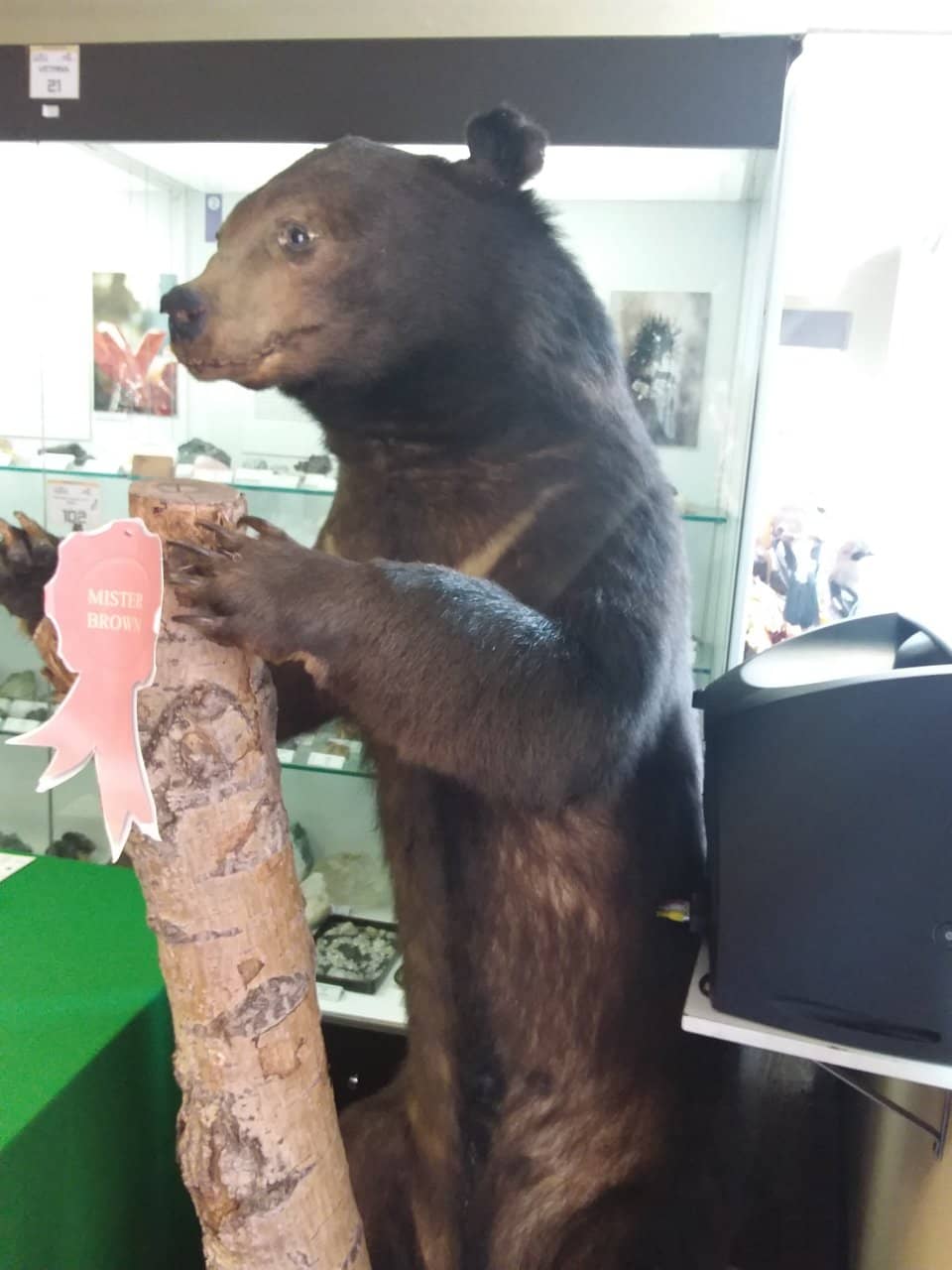 Library and Auditorium