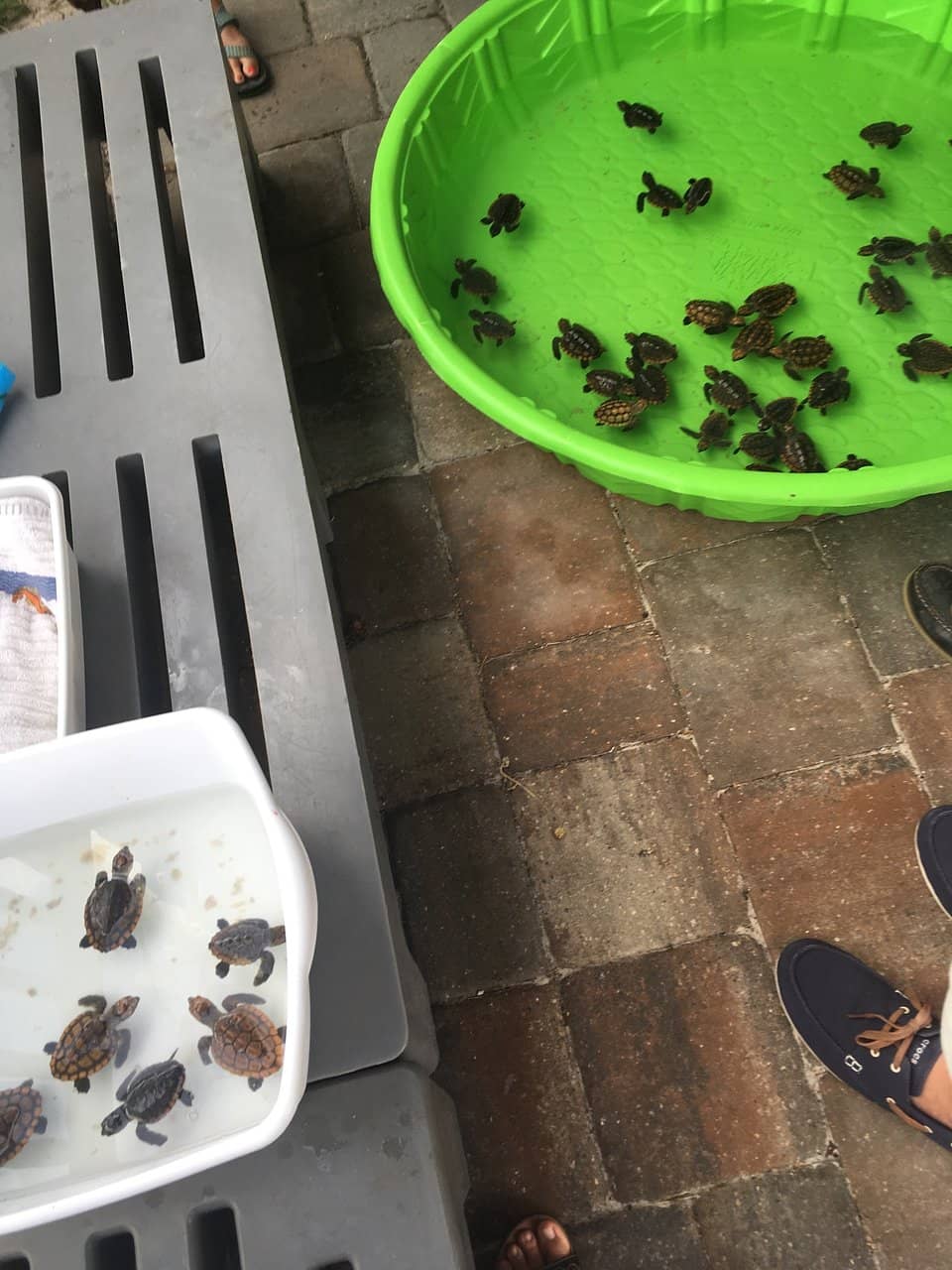 Educational Lectures