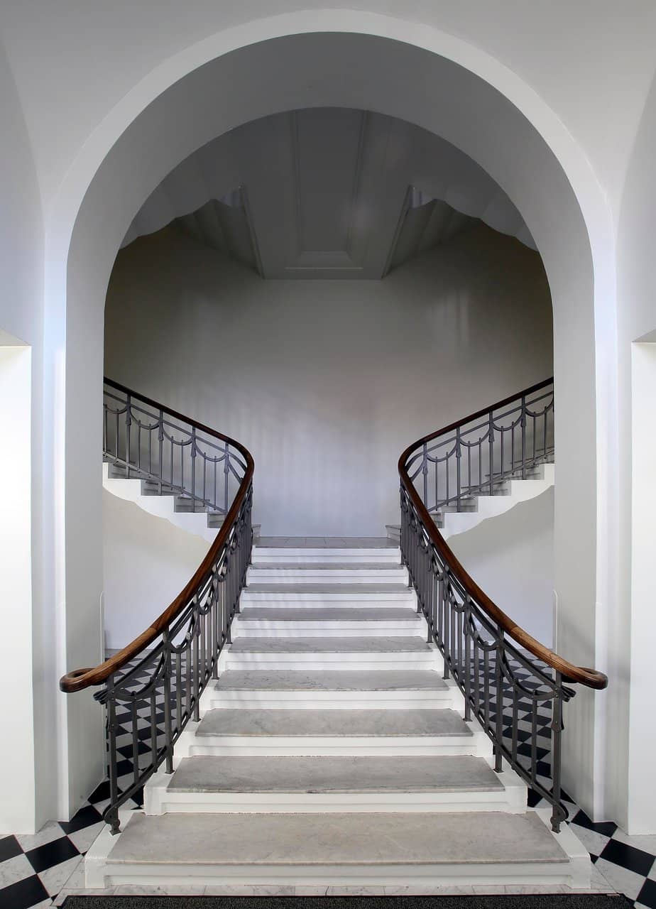 Film Club Screenings