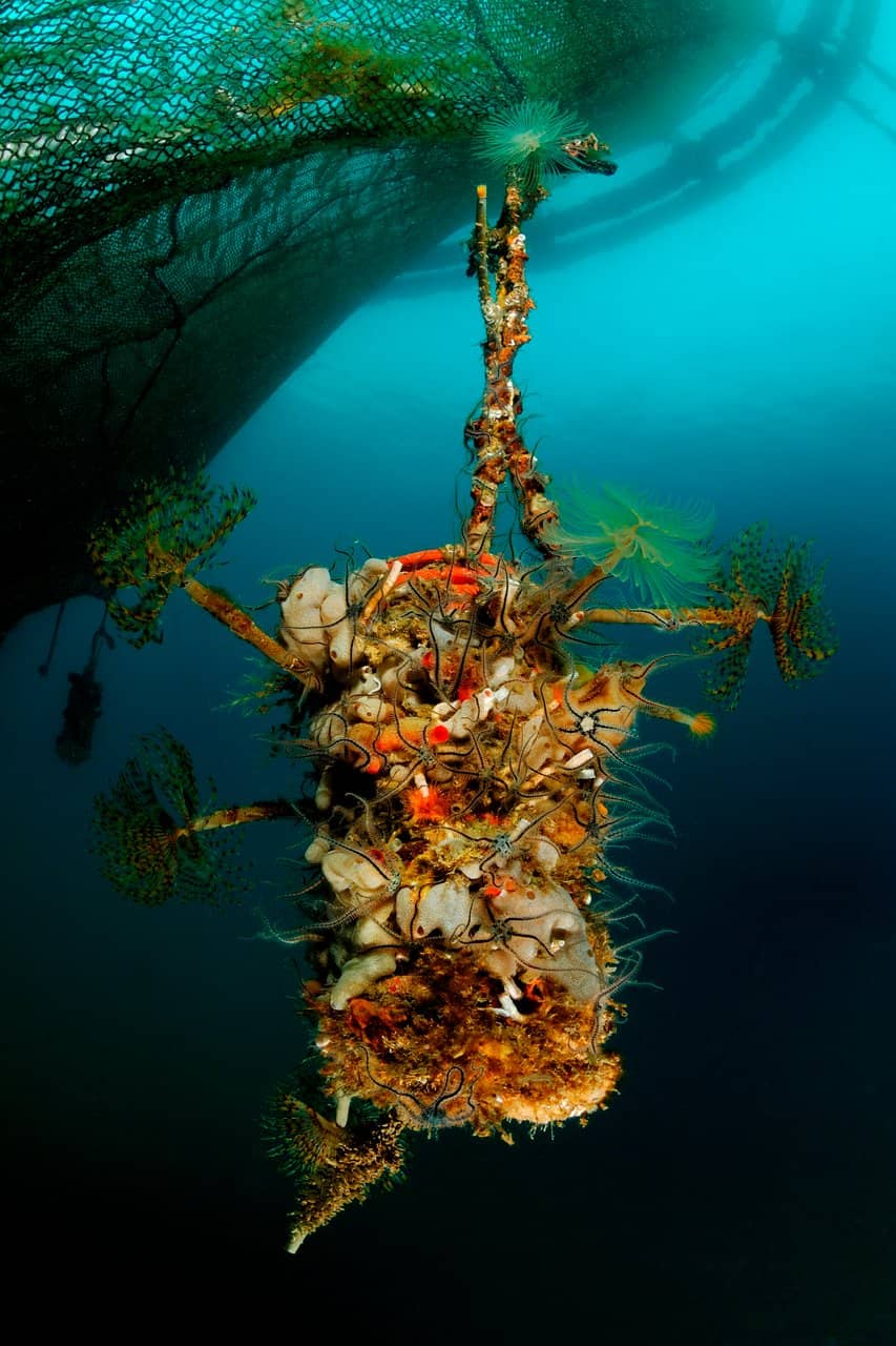 Interactive Cooking Workshop