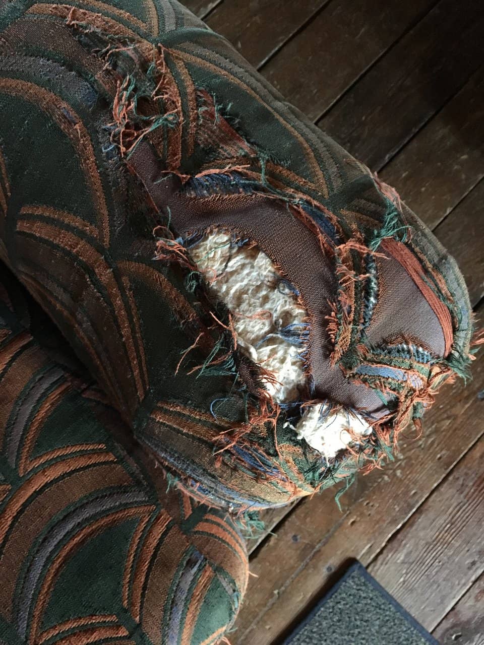 Unique Shack Accommodations