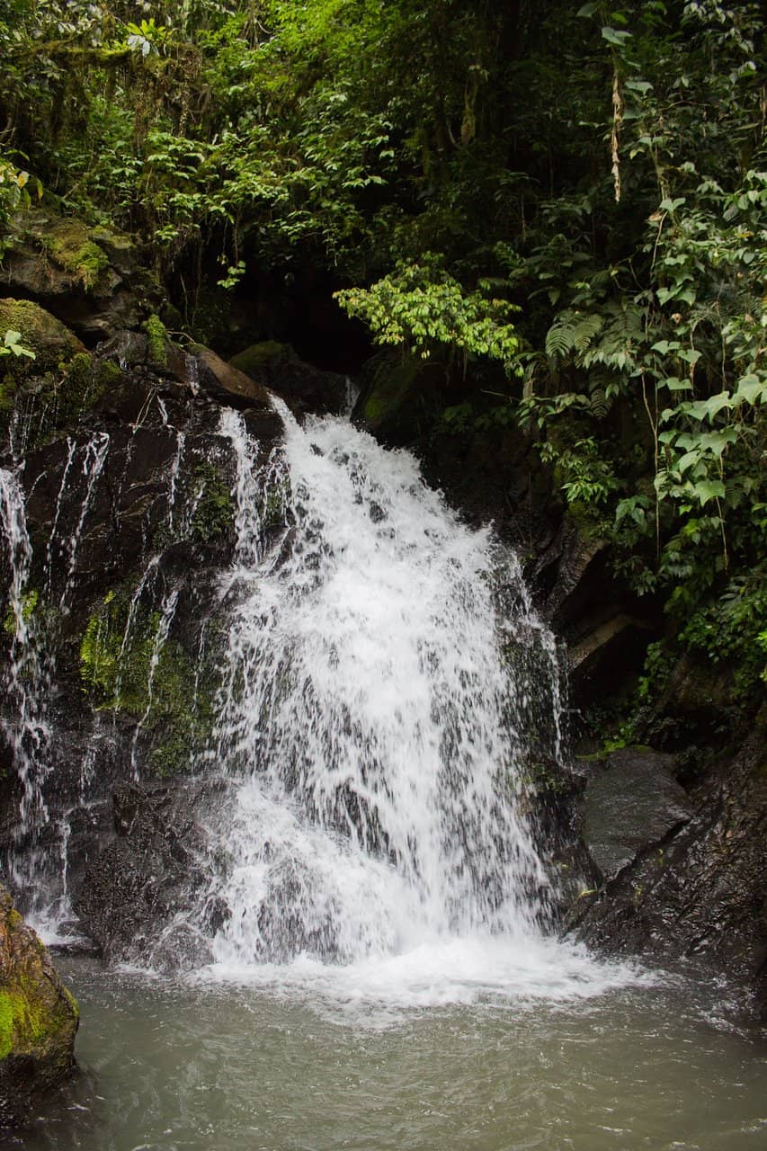 Crystal Clear Waters