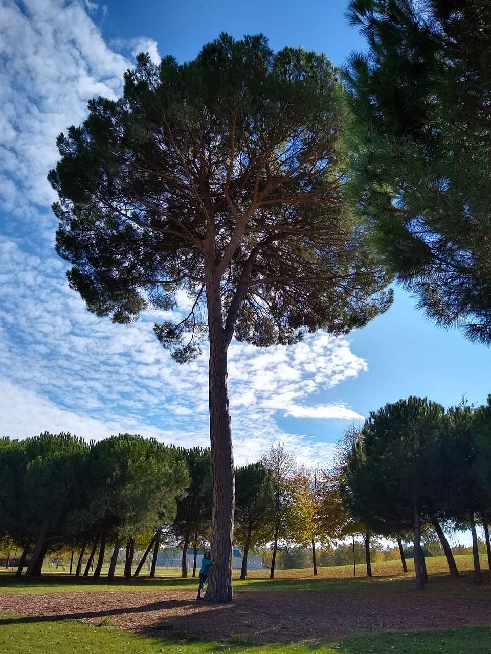 Authentic Local Tapas & Atmosphere