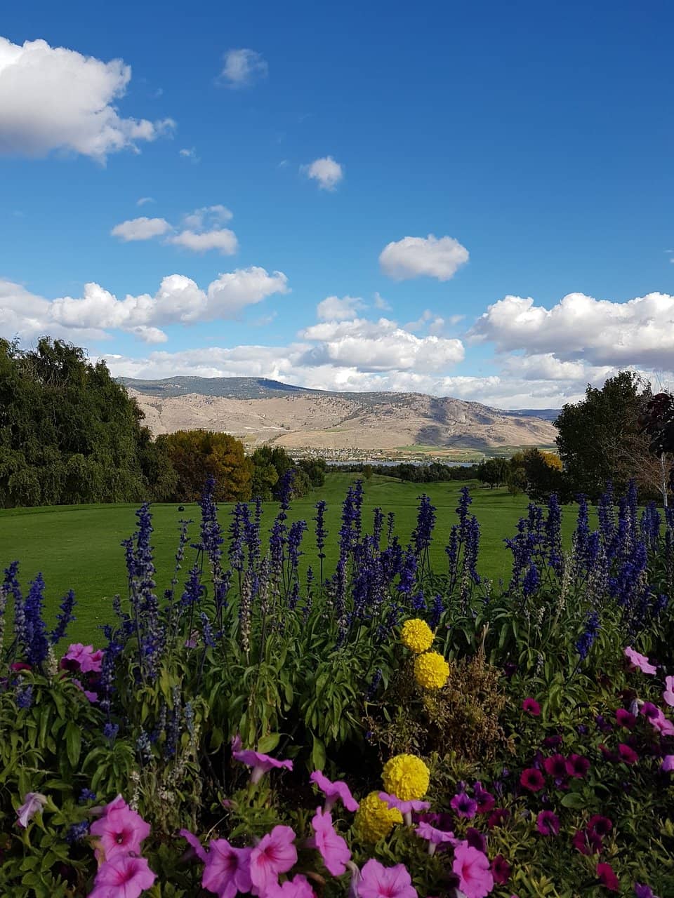 The Meadows Course Charm