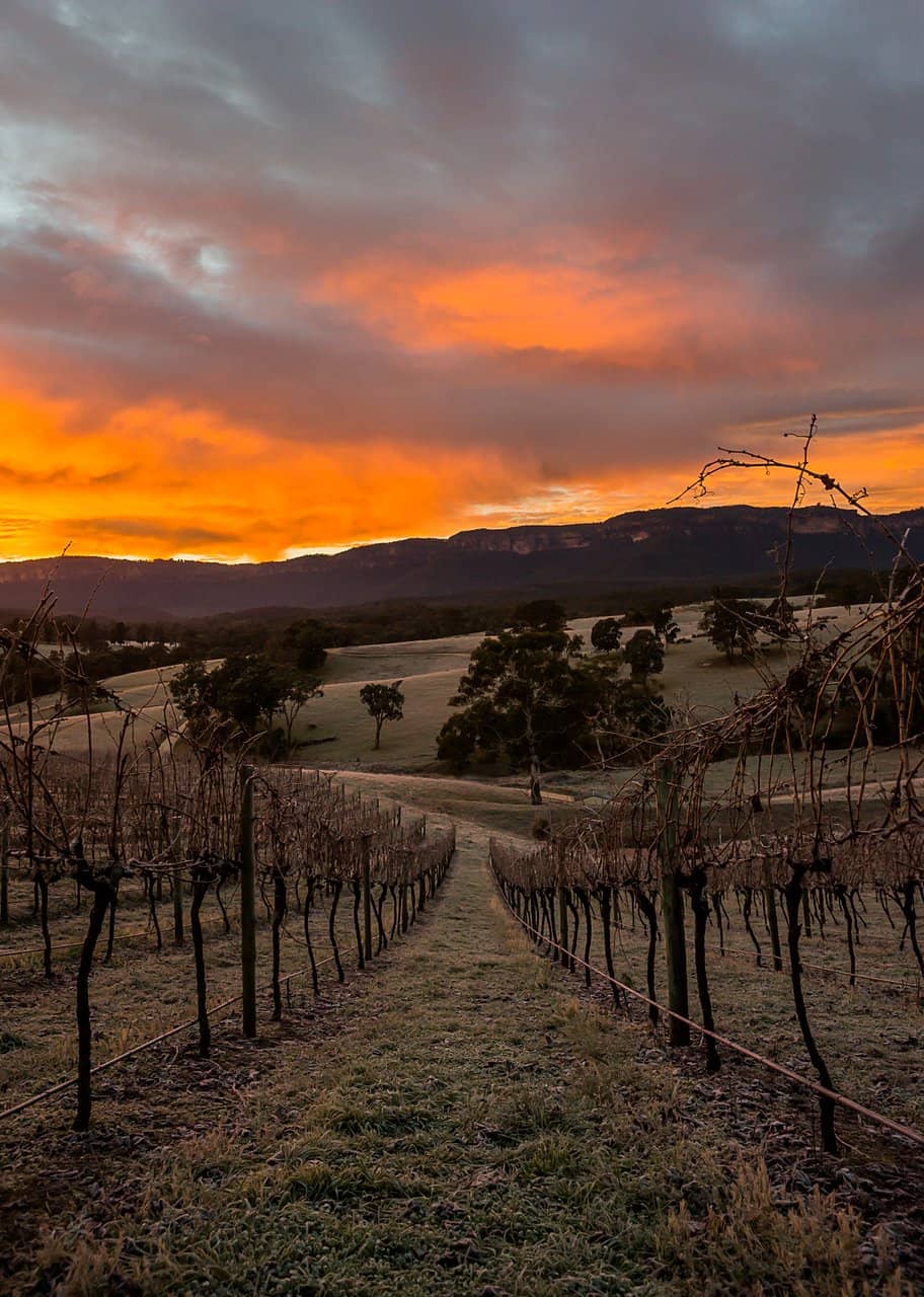 Artisan Cheese & Charcuterie Boards