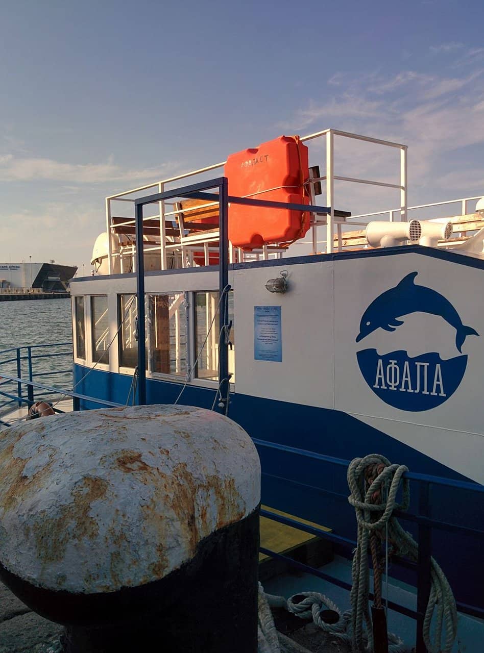 Art Installations & Green Spaces