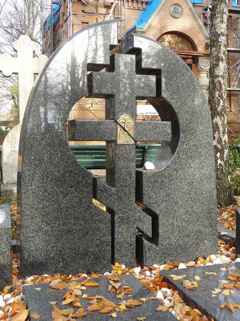 Eerily Beautiful Forest Setting