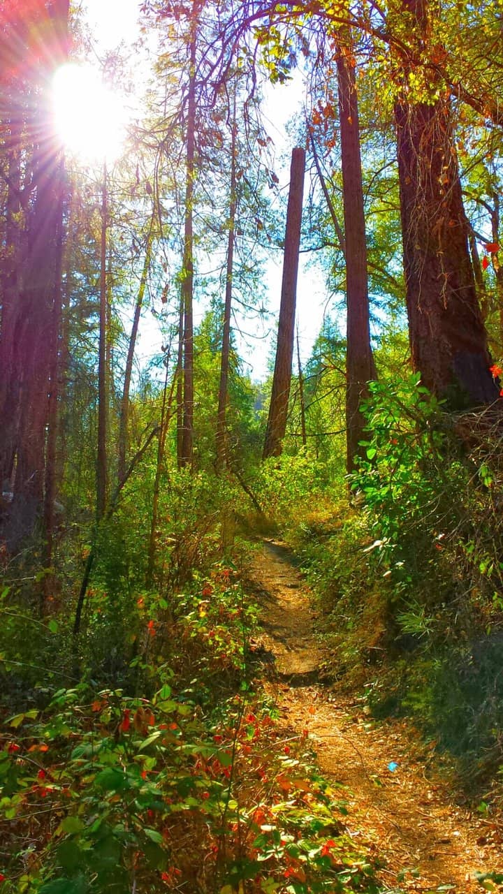 Swimming Hole Behind the Falls