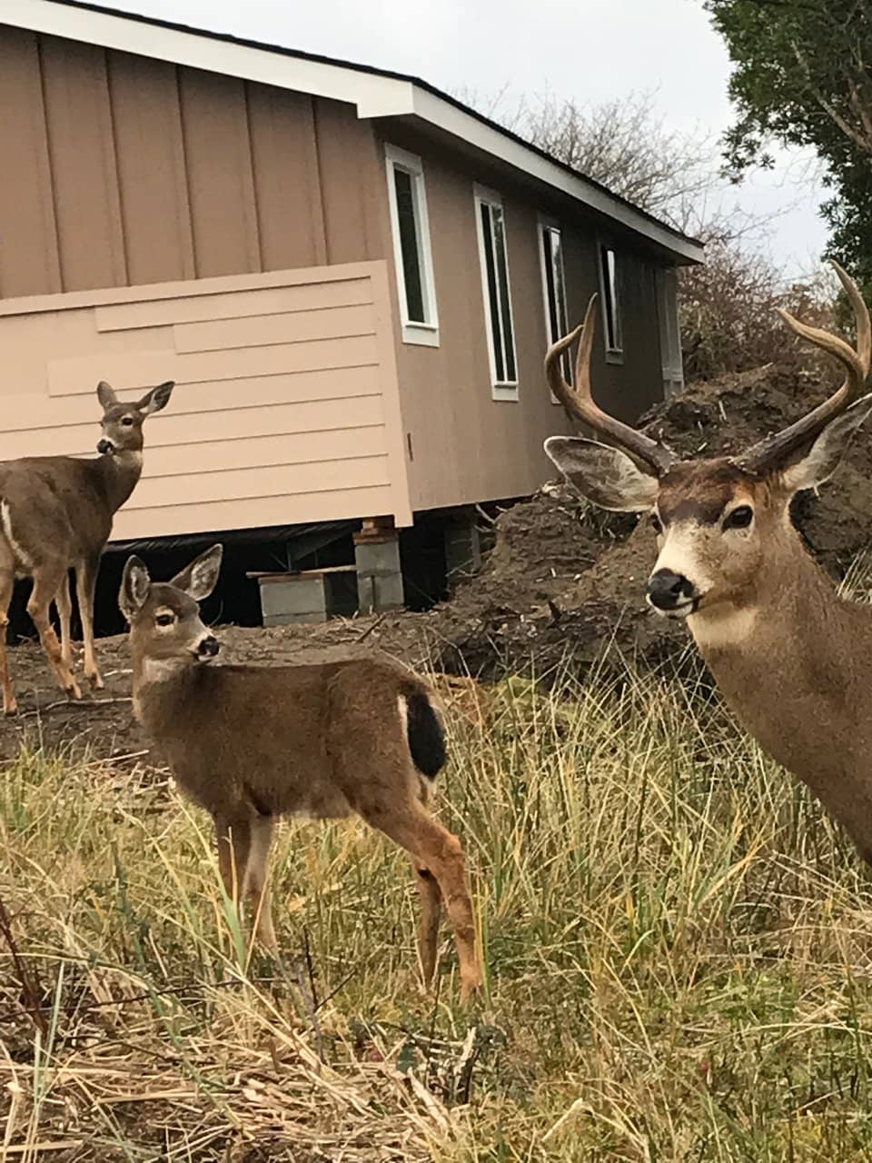 Agate and Rock Hunting