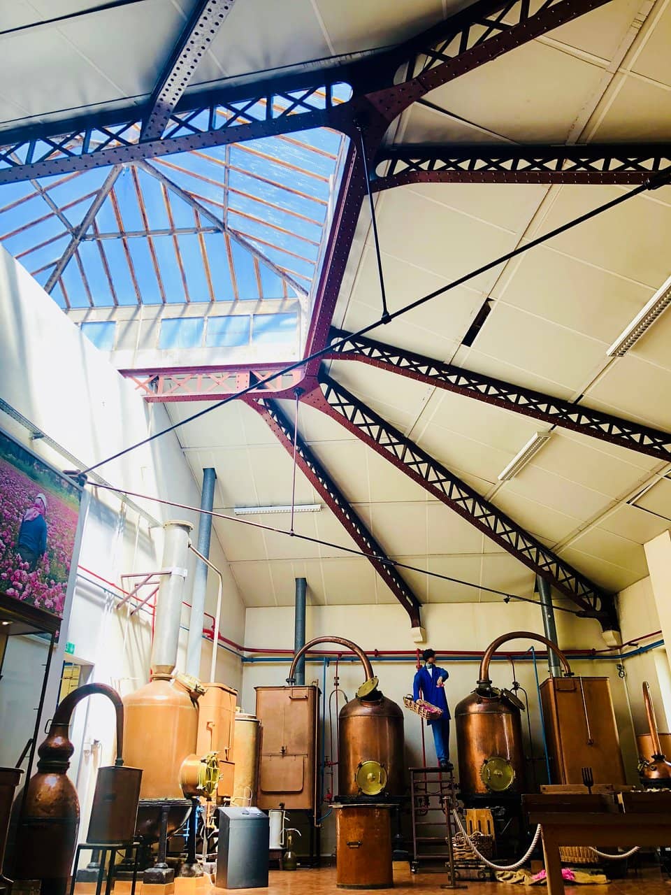 Molinard Perfume Museum