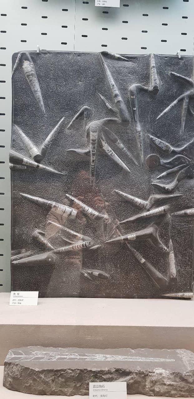 Geology and Biodiversity