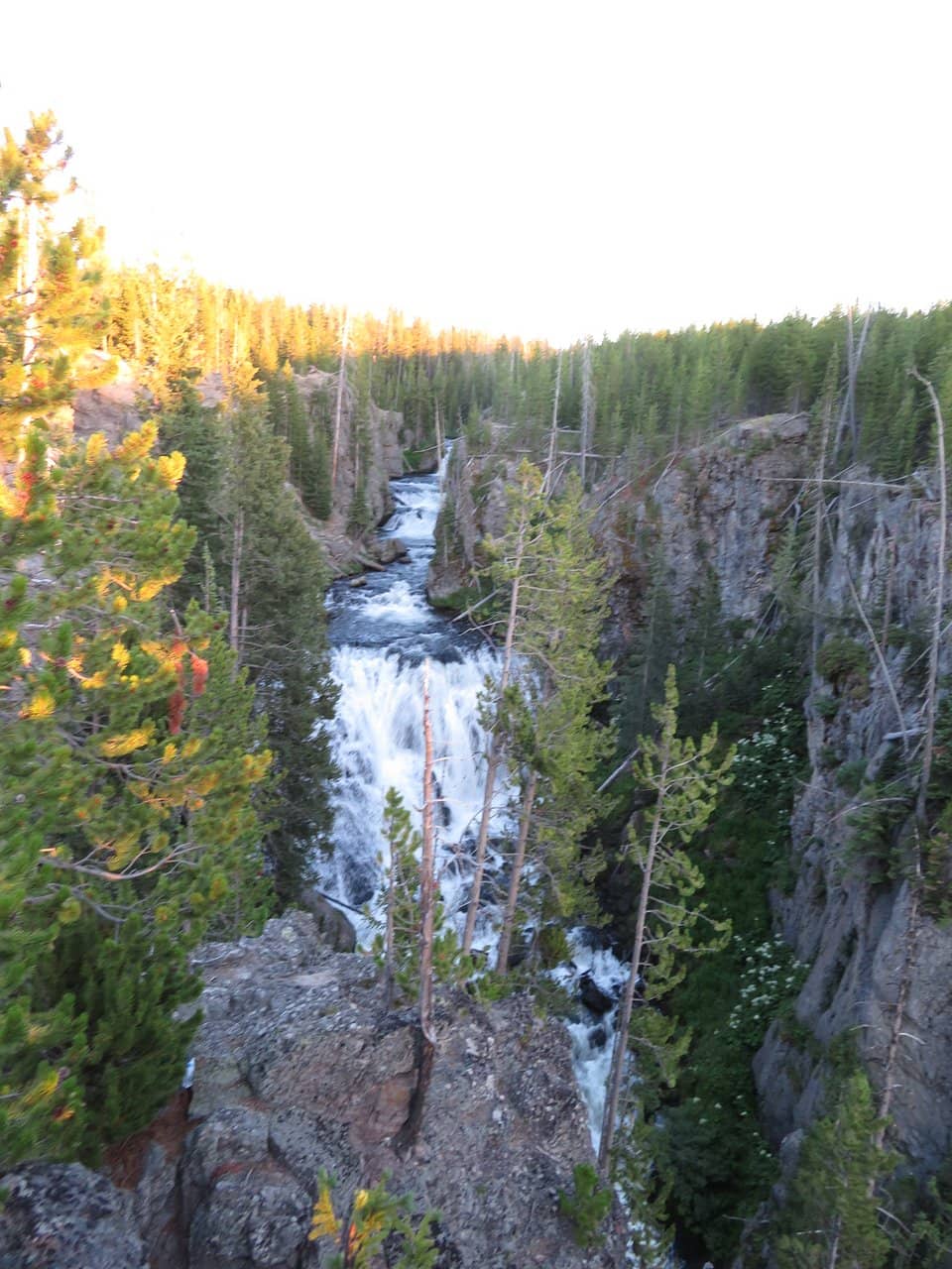 Vertical photo