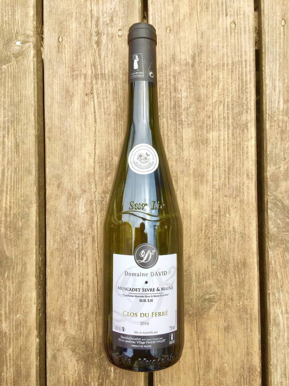 Regional Specialties