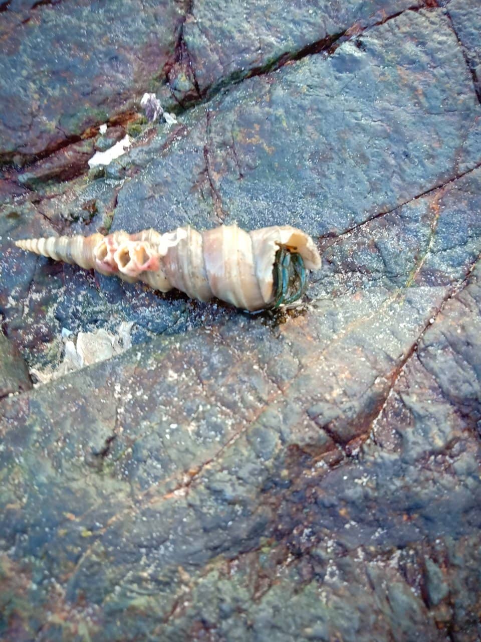 Panoramic Cliff Views