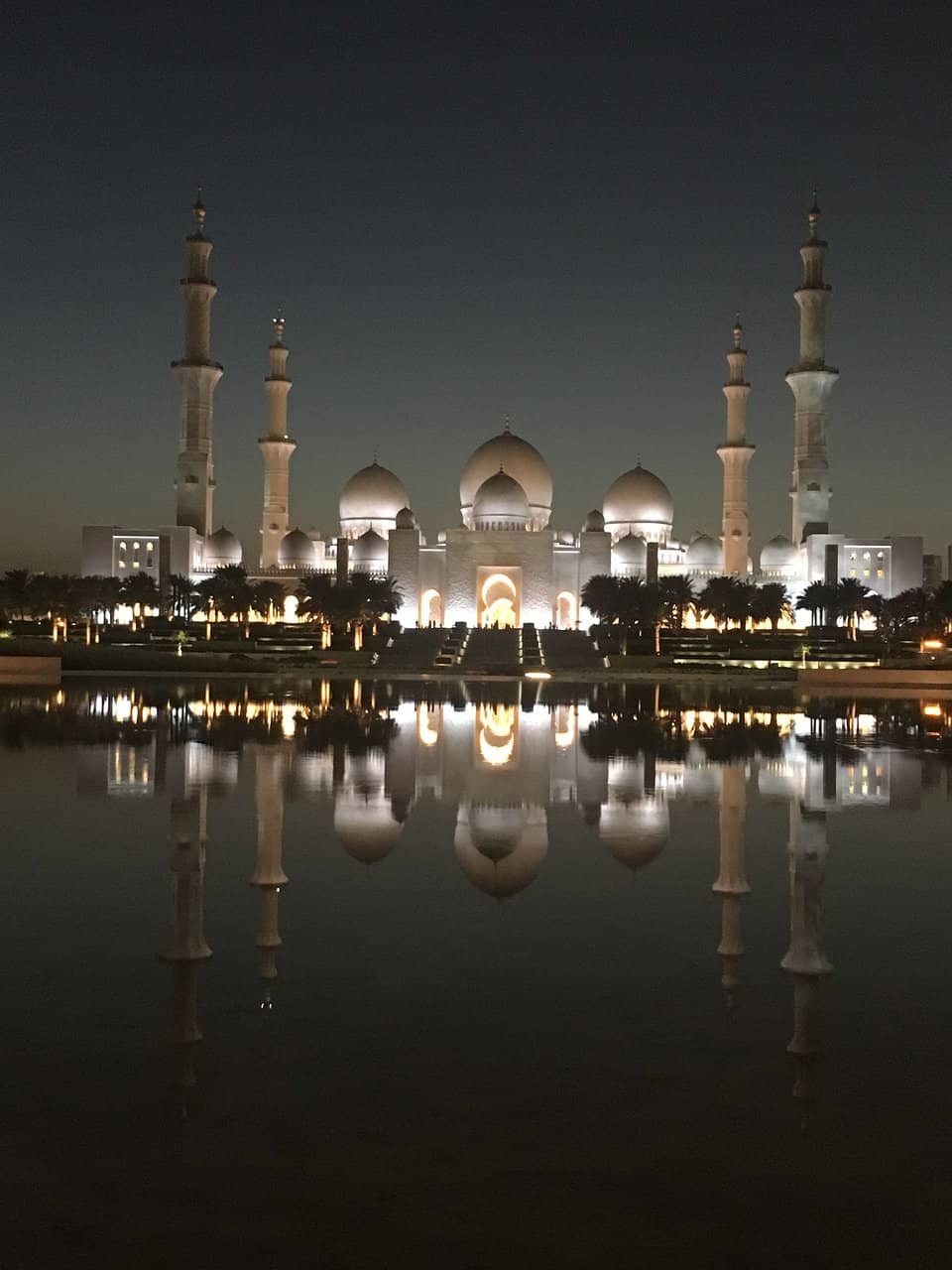 Reflective Pool Views