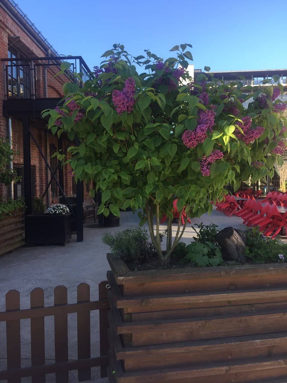 Scenic Library Cafe Views