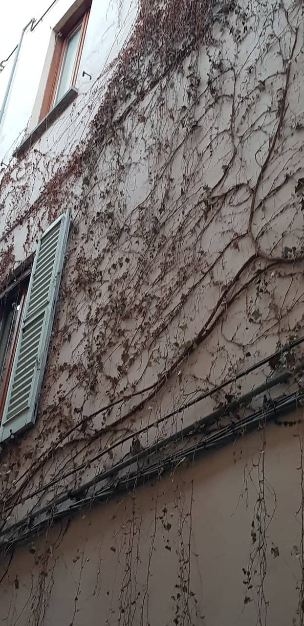 Milan's Gucci Art Wall