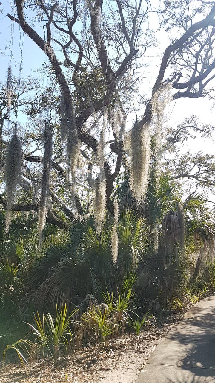 El Rio Trail Connection