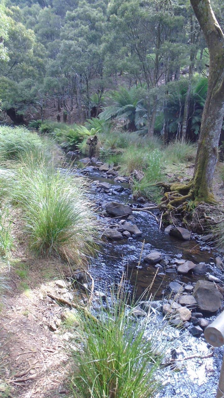 Cantilevered Lookout