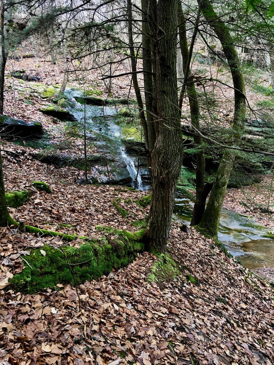Rocky Outcroppings and Caves