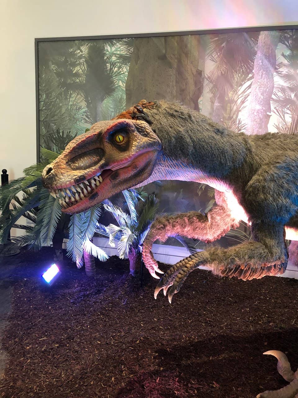 Surrey's History Exhibits