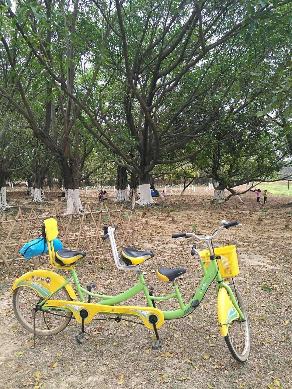 European-Style Architecture