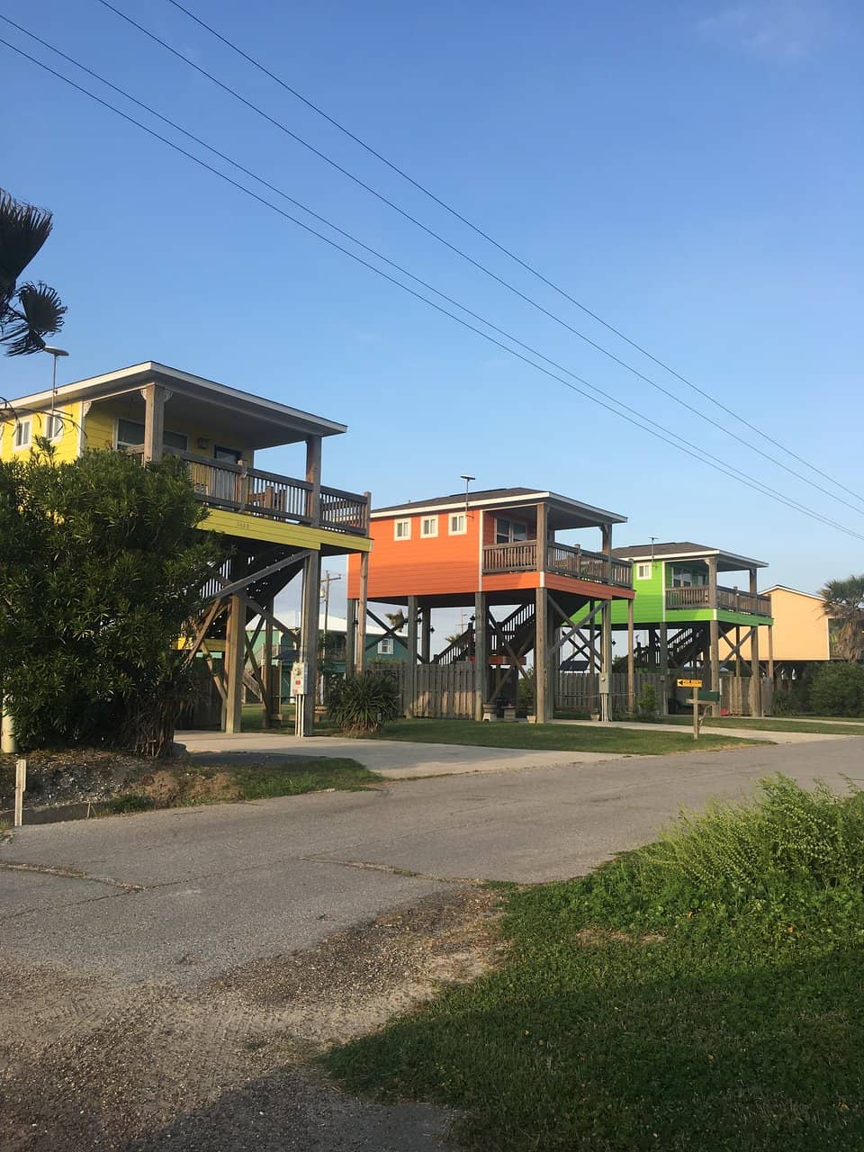 Local Music & Festivals