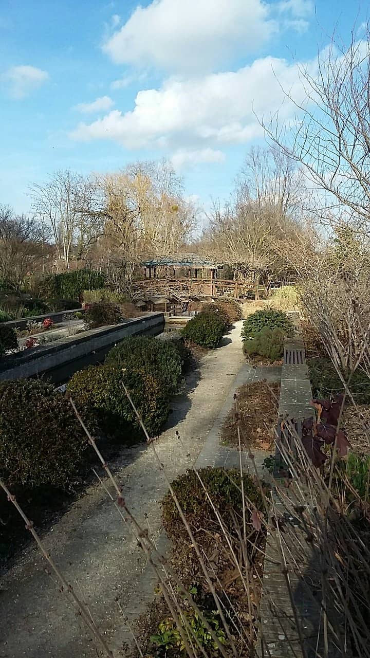 Olympic Village Vibes