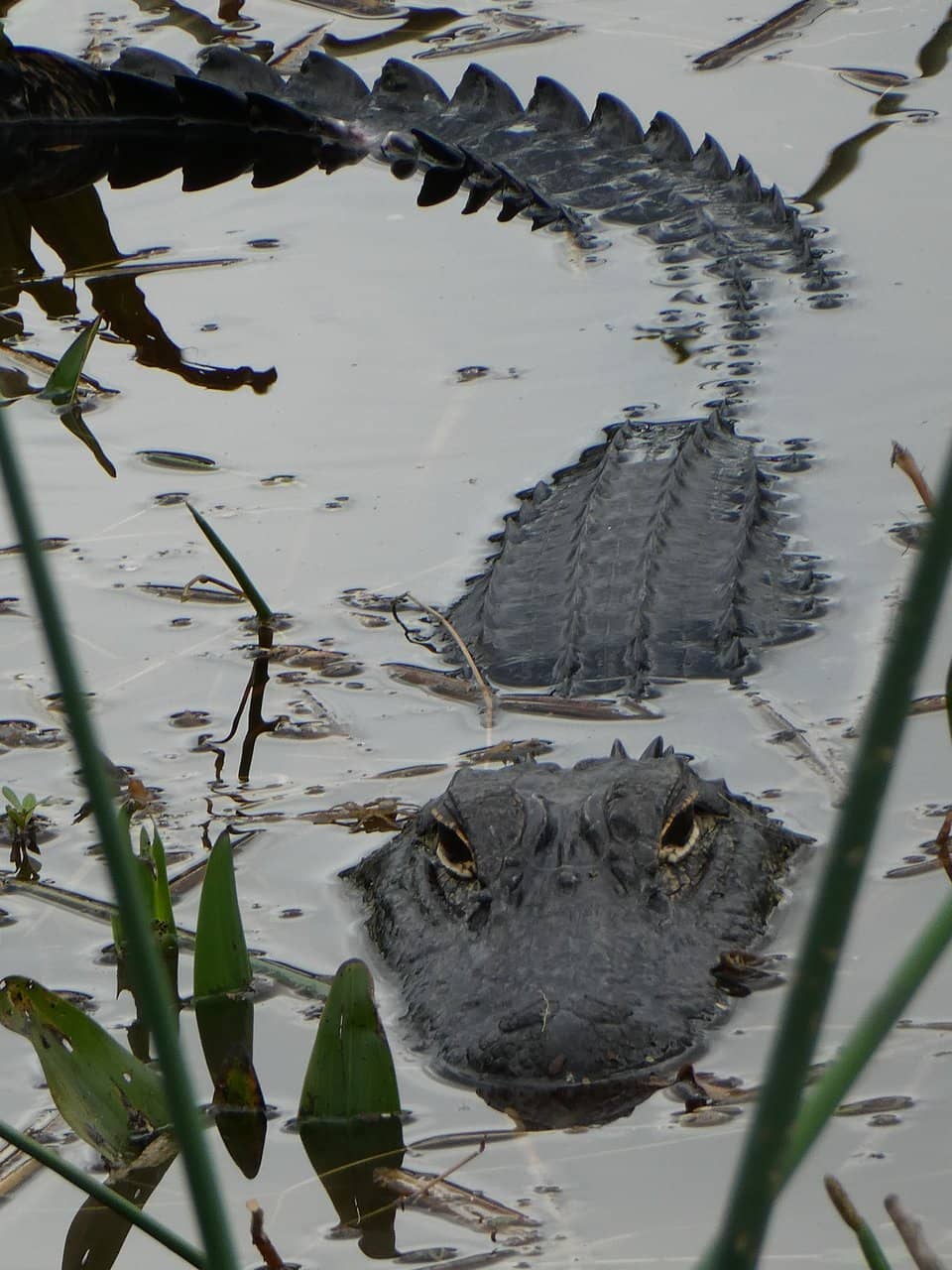 Photography Paradise