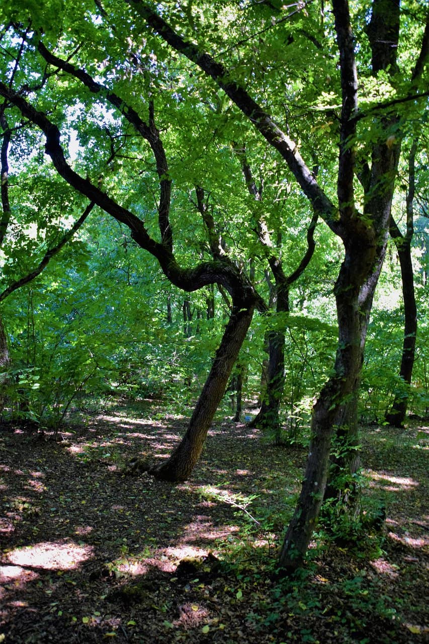 The Mysterious Circle